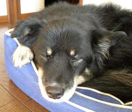DSCN4920.jpg