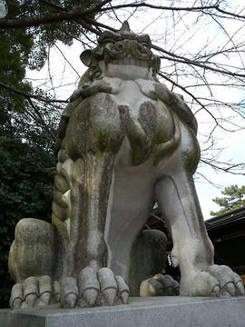 DSCN5045.jpg