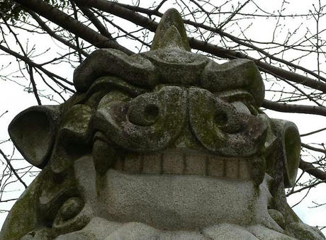 DSCN5046.jpg