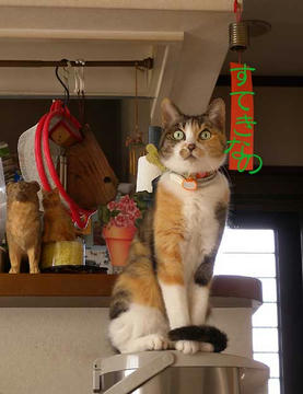 DSCN5098.jpg