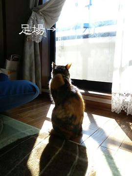 DSCN5243.jpg