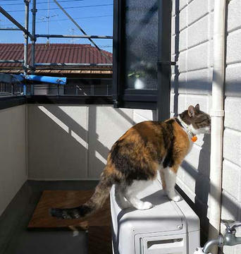 DSCN5248.jpg