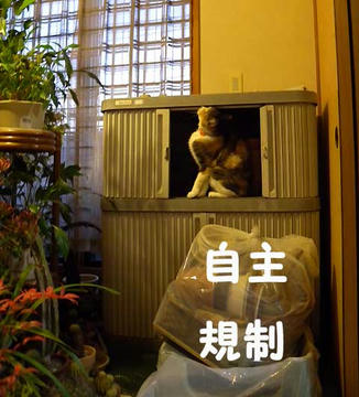 DSCN5090.jpg