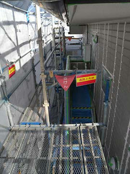 DSCN5167.jpg