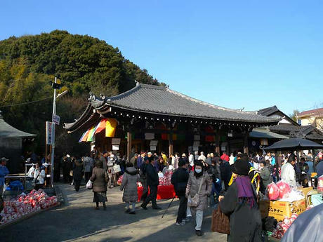 DSCN5280.jpg