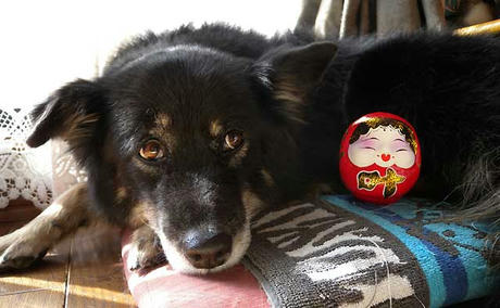 DSCN5289.jpg