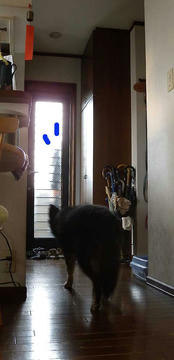 DSCN5120.jpg