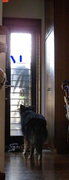 DSCN5121.jpg