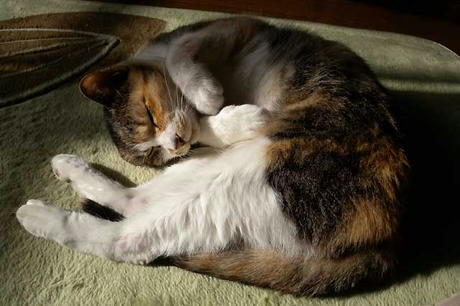 DSCN5206.jpg