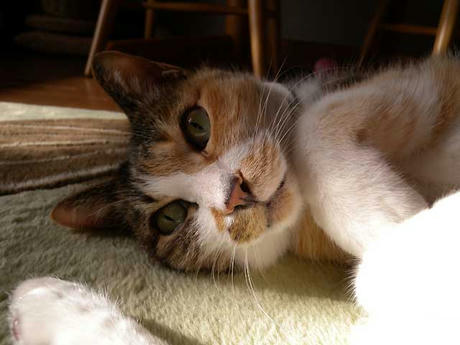 DSCN5212.jpg