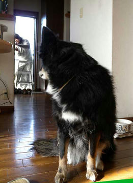DSCN5220.jpg