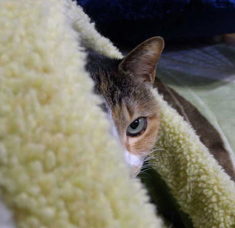 DSCN5359.jpg