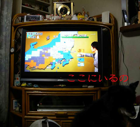 DSCN5361.jpg