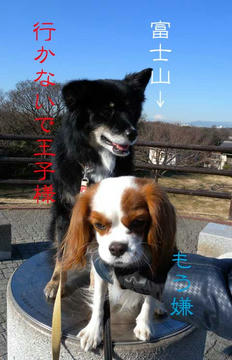 DSCN5312.jpg
