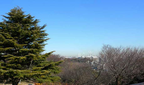 DSCN5313.jpg