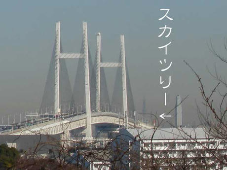 DSCN5314.jpg