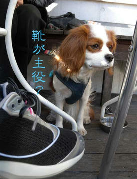 DSCN5322.jpg