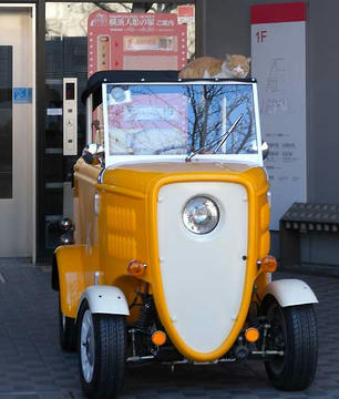 DSCN5324.jpg