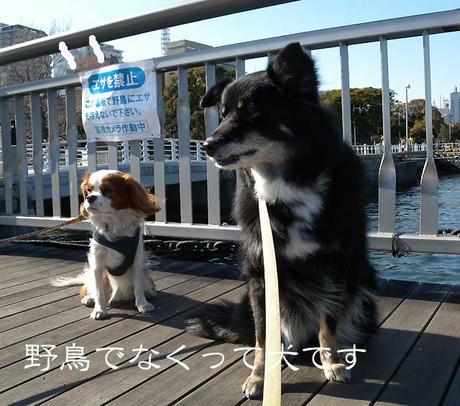 DSCN5327.jpg