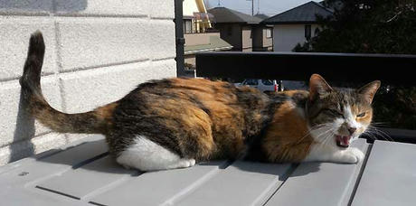 DSCN5380.jpg