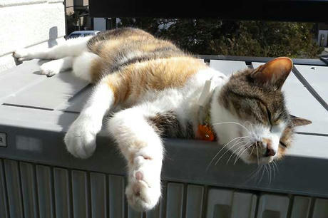 DSCN5381.jpg