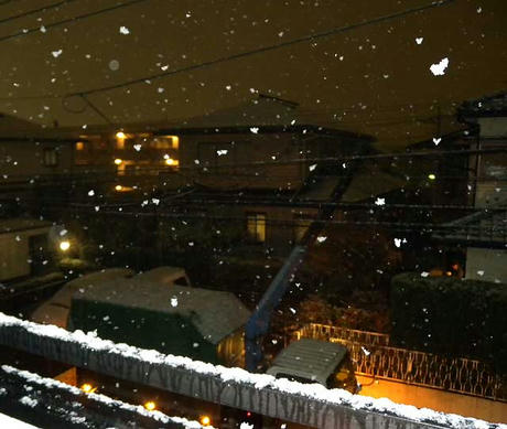 DSCN5398.jpg