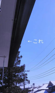 DSCN5416.jpg