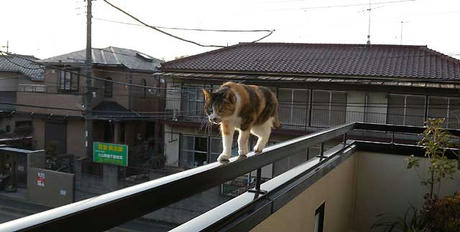 DSCN5436.jpg
