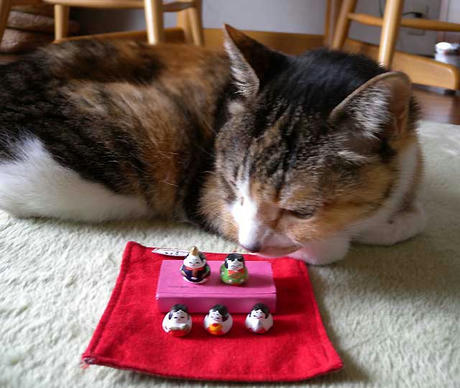 DSCN5469.jpg