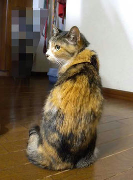 DSCN5472.jpg