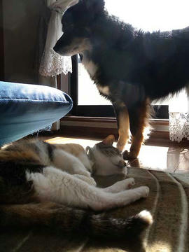 DSCN5423.jpg