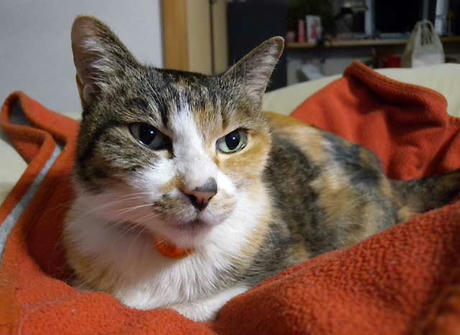 DSCN5495.jpg
