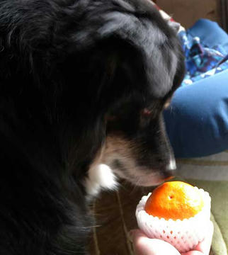 DSCN5485.jpg