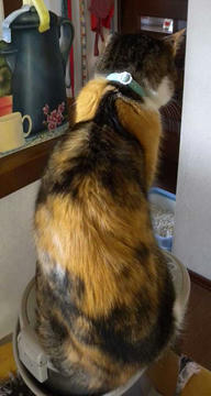 DSCN5503.jpg