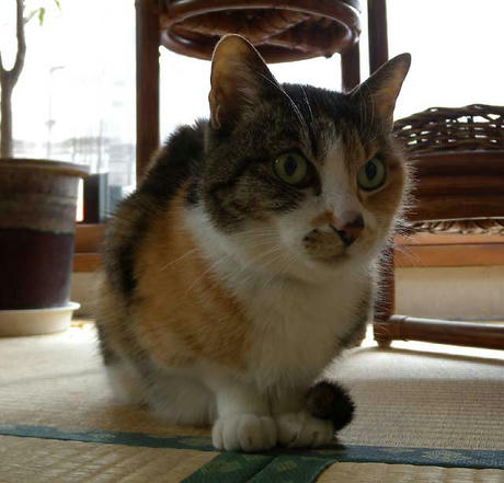 DSCN5508.jpg