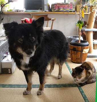 DSCN5512.jpg