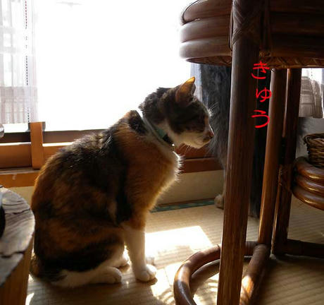 DSCN5518.jpg