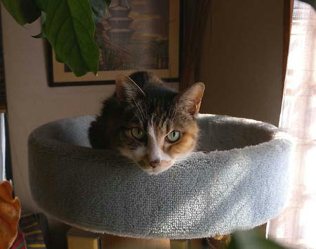 DSCN5525.jpg