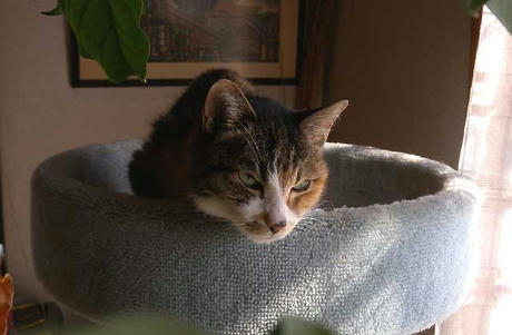 DSCN5526.jpg