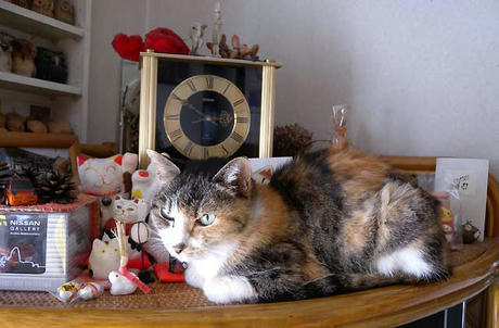 DSCN5537.jpg