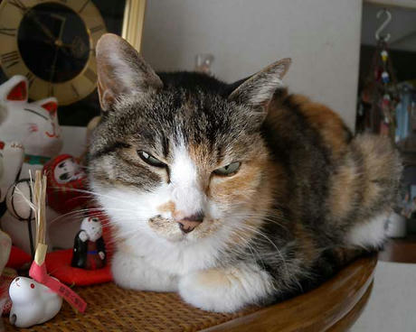DSCN5539.jpg