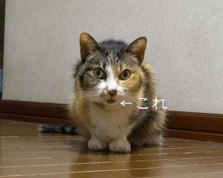 DSCN5588.jpg
