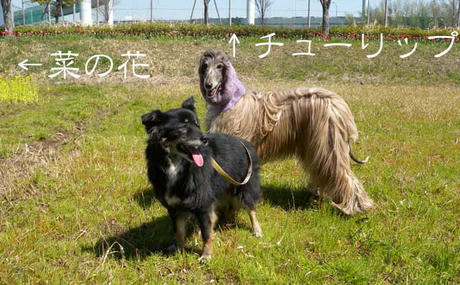 DSCN5565.jpg