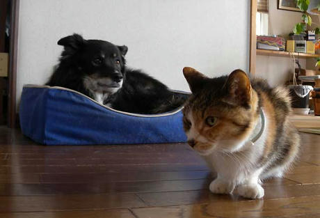 DSCN5575.jpg