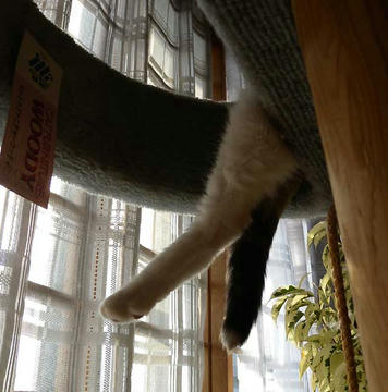 DSCN5608.jpg