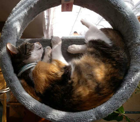 DSCN5609.jpg