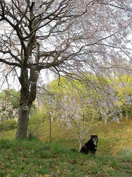 DSCN5614.jpg