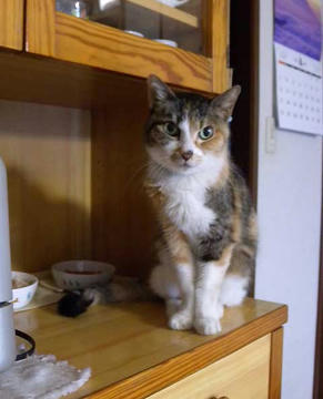 DSCN5635.jpg