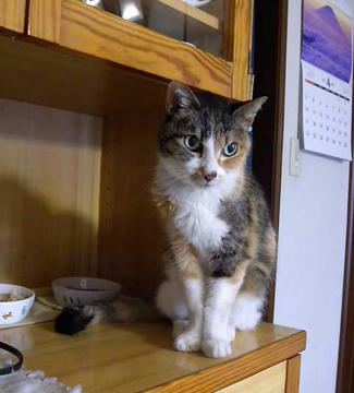DSCN5636.jpg