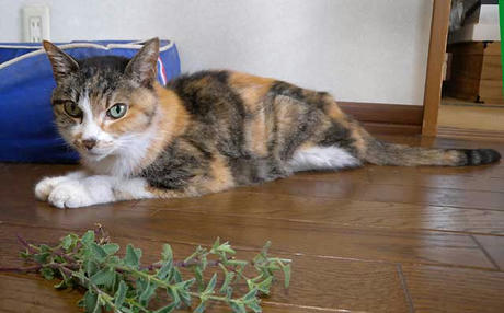 DSCN5654.jpg